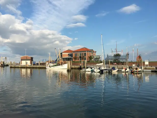 Neubau des Reedereigebäudes und Gäste-Service-Center in Wyk auf Föhr der W.D.R, Bild 4